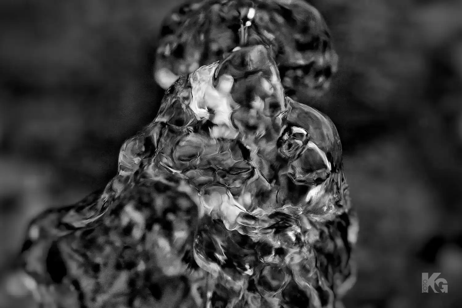 301224 natur al 1