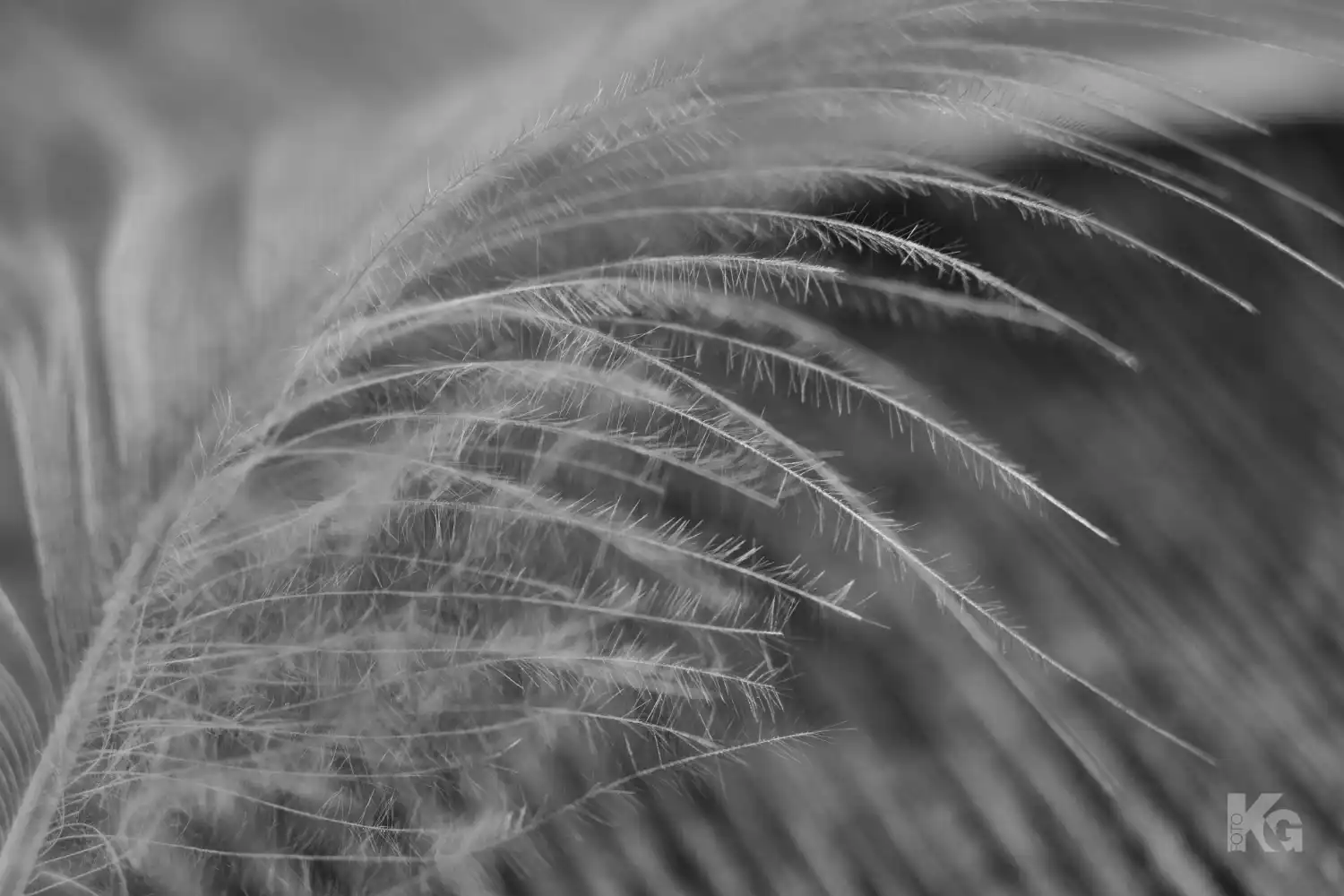 301224 natur al 4