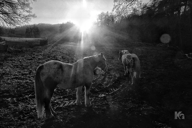 020325 natur 2 al
