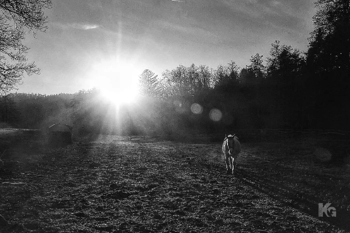 020325 natur 3 al