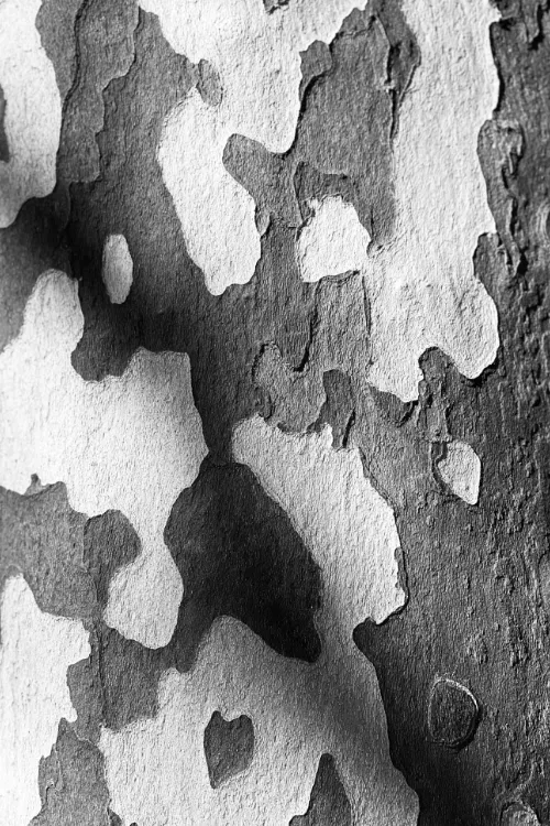 030325 natur 1 al