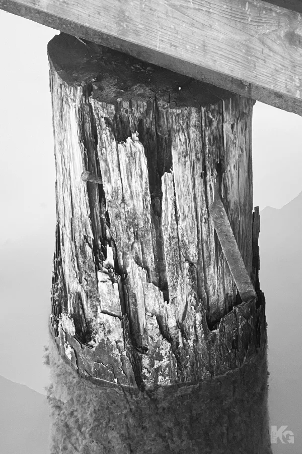 030325 natur 4 bp